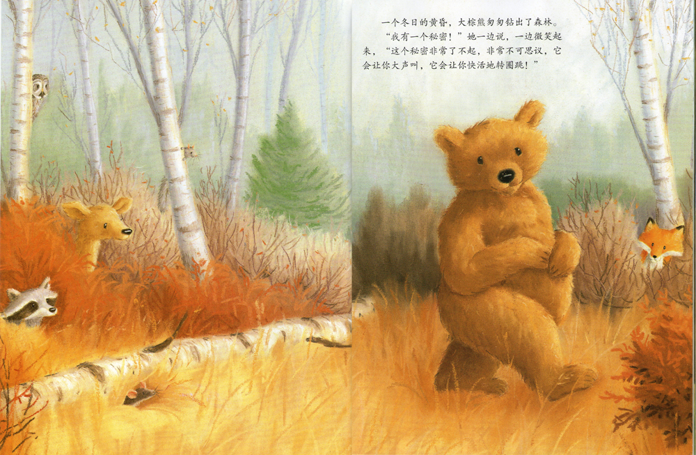 大棕熊的秘密 (02),绘本,绘本故事,绘本阅读,故事书,童书,图画书,课外阅读